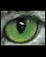 Kat's Eye
